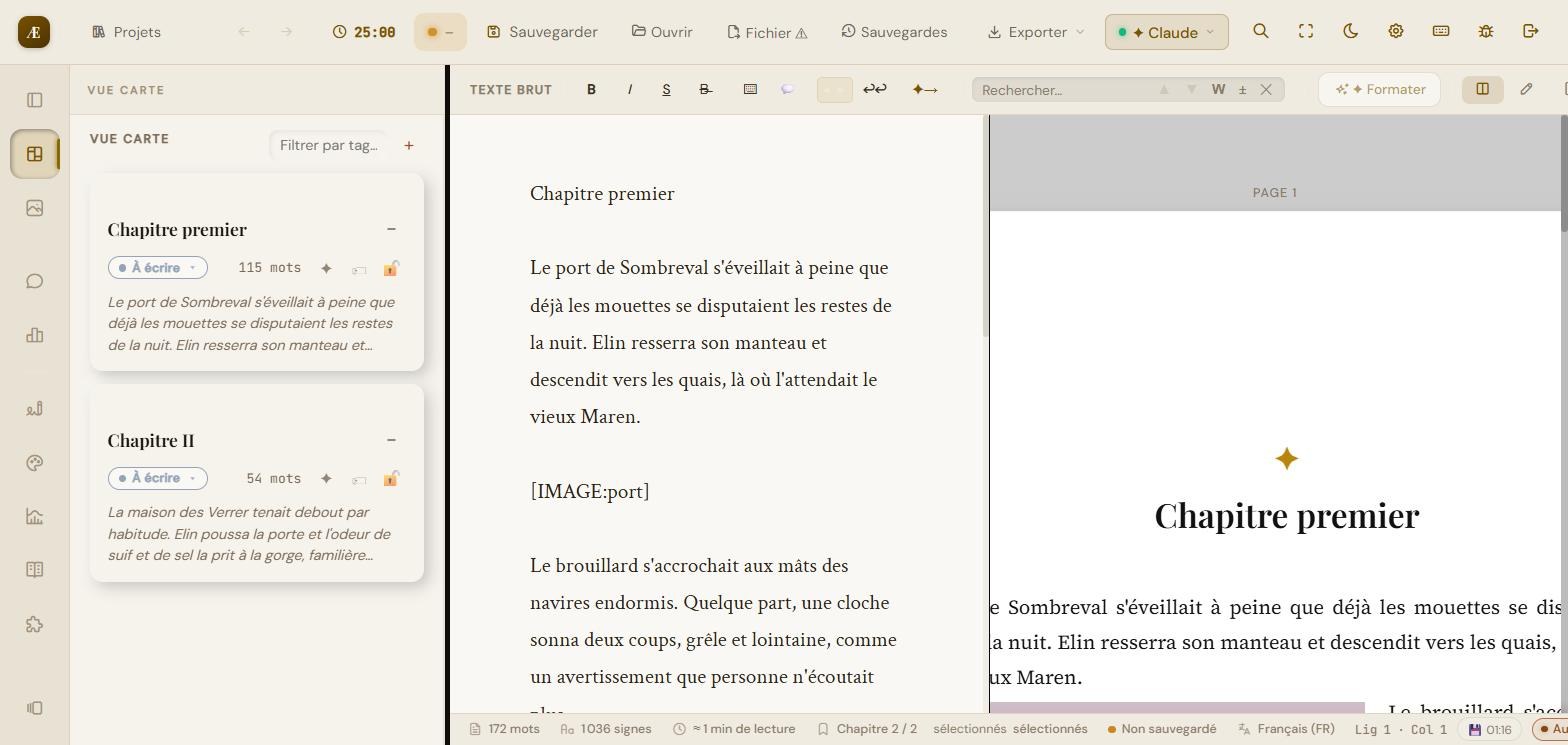 La « Vue carte » : chaque chapitre en fiche, avec statut (À écrire / En cours / Terminé / En révision), tags et verrou.